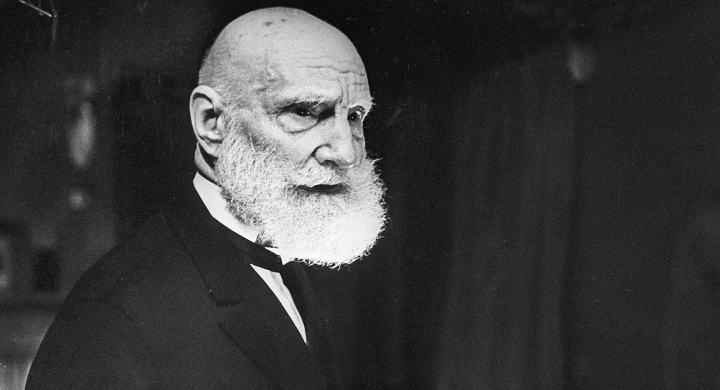 Вводная картинка