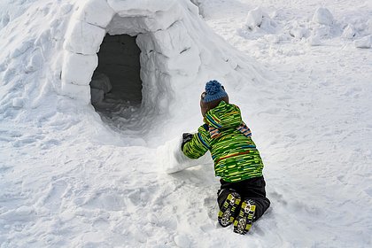 Москвичи решили построить иглу