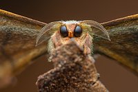 Неземные пейзажи, грибные зомби и нескончаемая борьба за жизнь. Ни на что не похожий мир — на снимках лучших фотографов