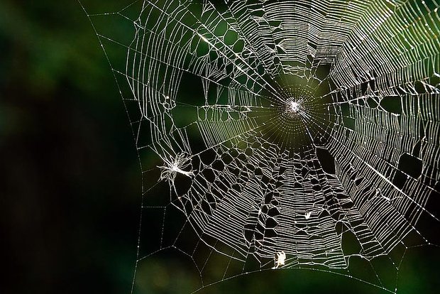 Вводная картинка