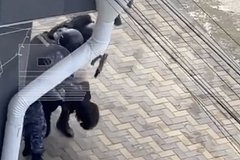 Задержание напавшего на техникум в Анапе