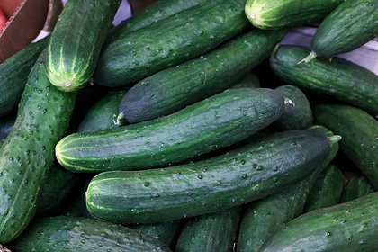 Сроки снижения цен на огурцы предсказали