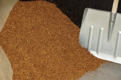 Работники одного сегмента экономики обошли нефтяников по размеру зарплаты