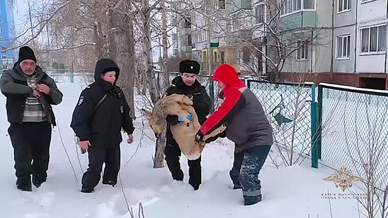 ������������&nbsp; ������ � ���������� ����� ������ �� �����