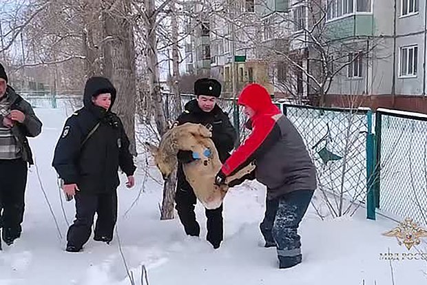 Вводная картинка