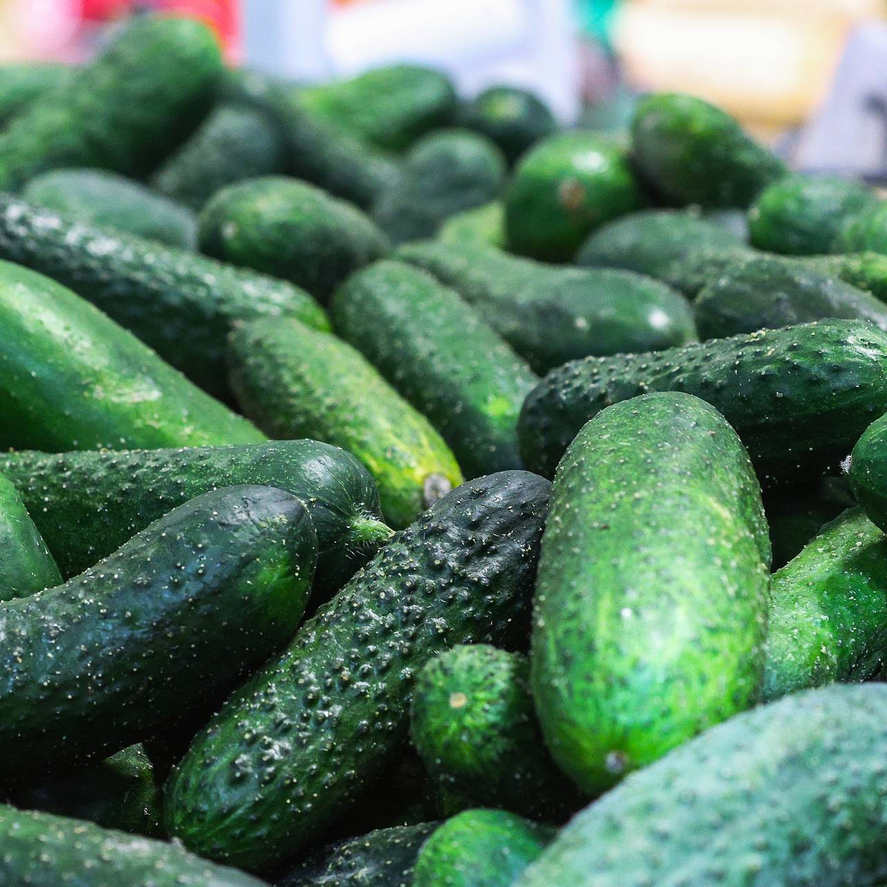 В Госдуме попросили проверить причины роста цен на огурцы