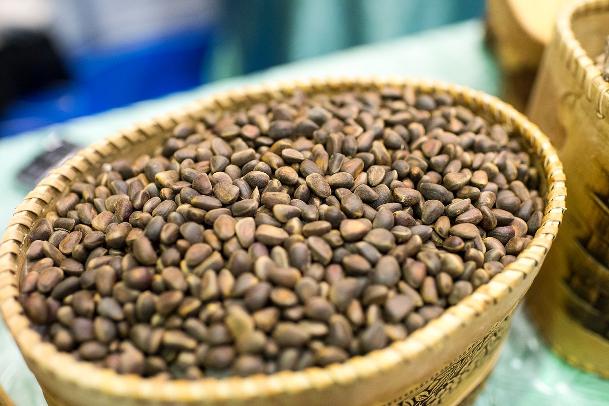 Корзина с кедровыми орехами на выставке «Сибирская агротехническая неделя» в Омске