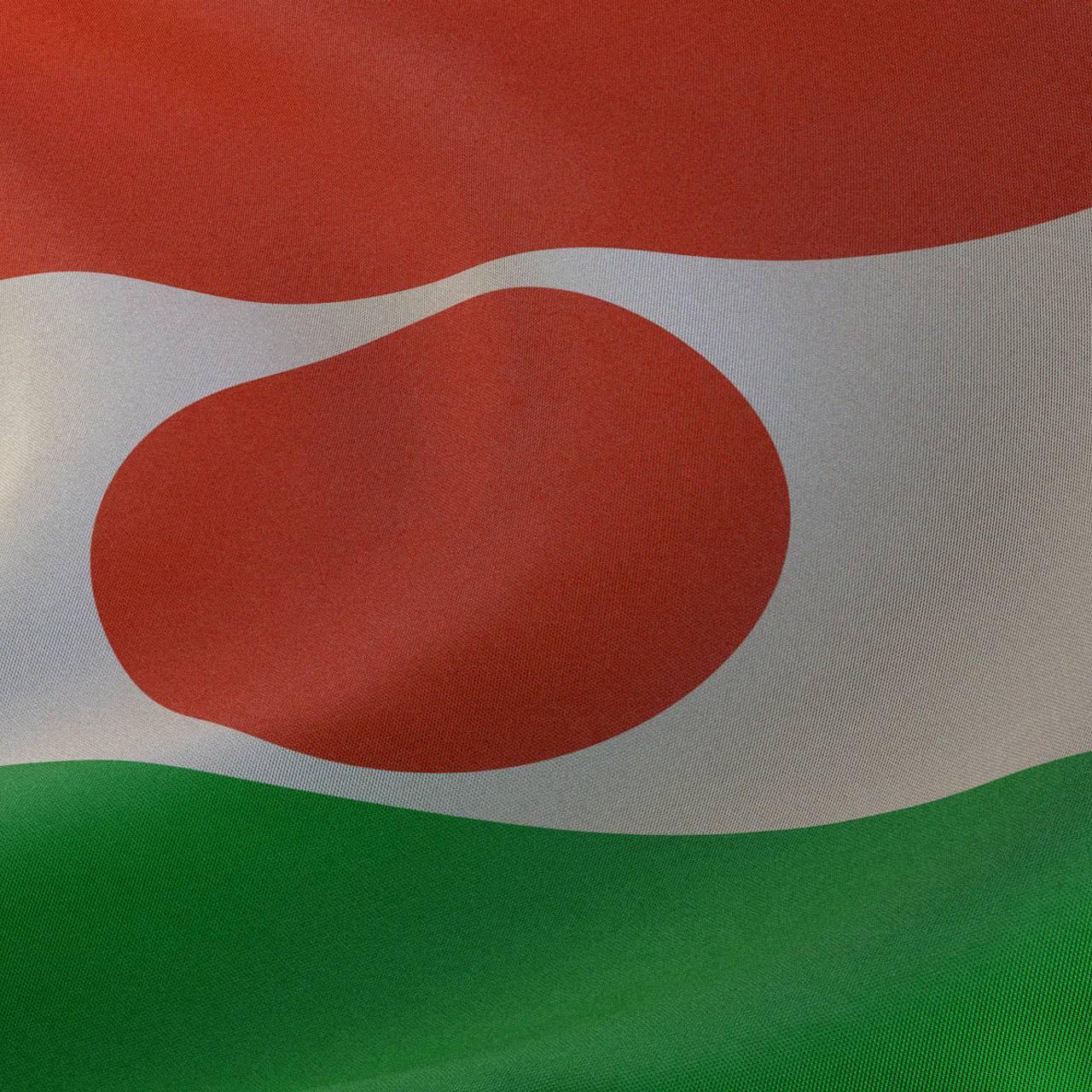 «Мы идем на войну». Нигер проводит мобилизацию для подготовки к вступлению в вооруженный конфликт с Францией