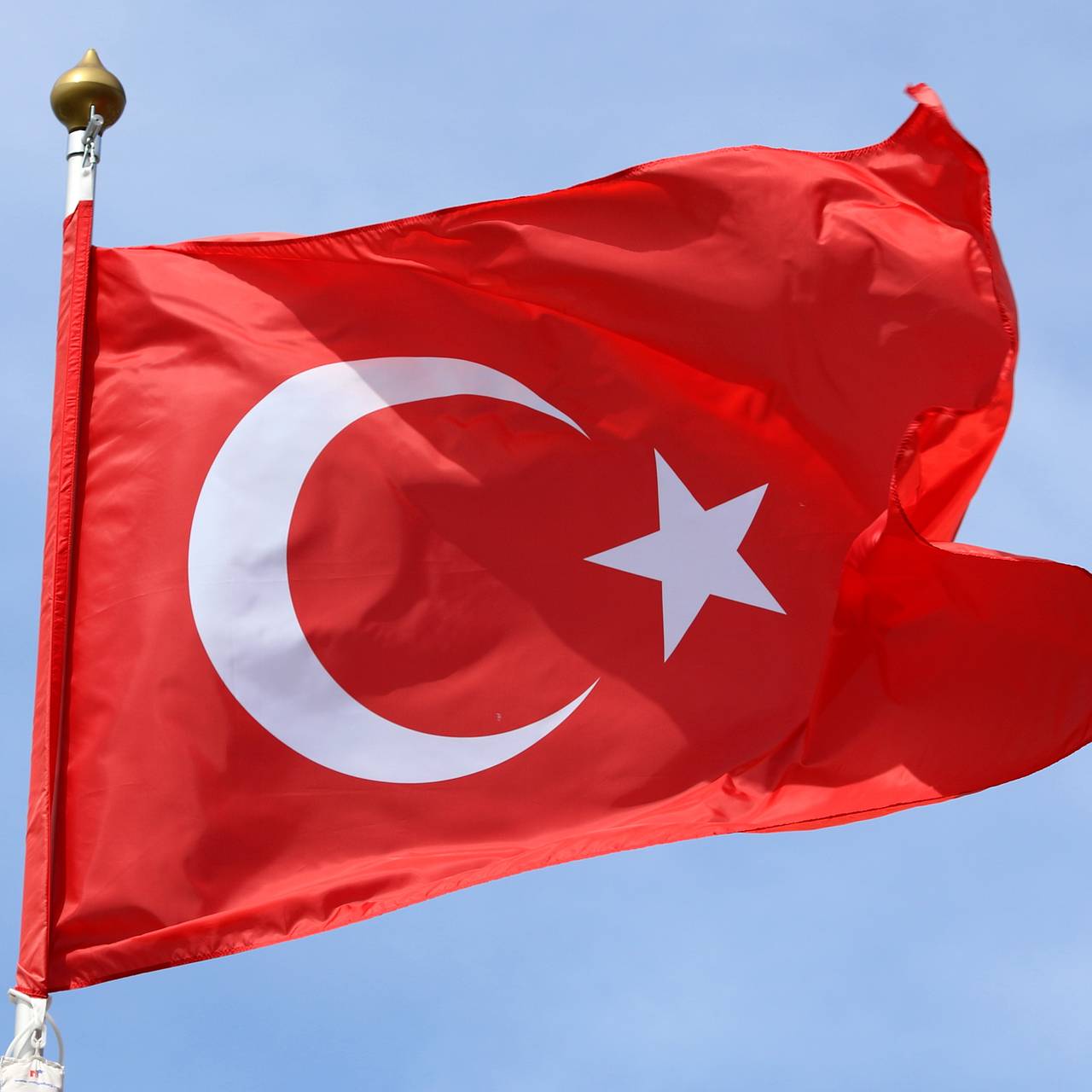 В Турции мужчина ограбил ювелирный магазин и скрылся на осле