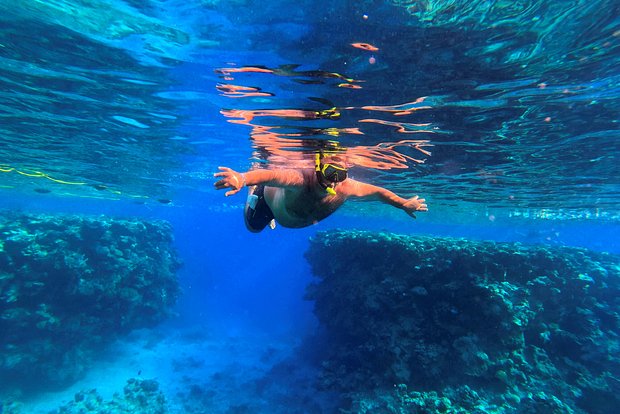 Вводная картинка