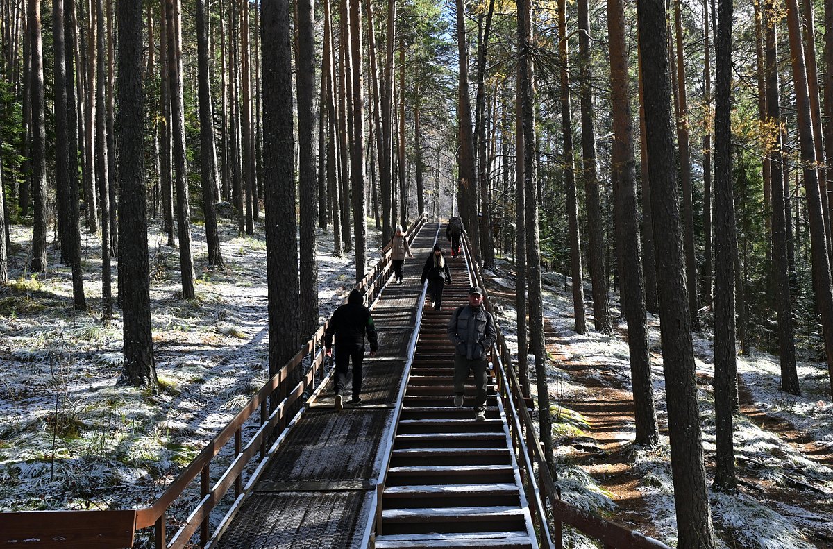 9018012 01.10.2025 Туристический маршрут в Центральном районе национального парка 