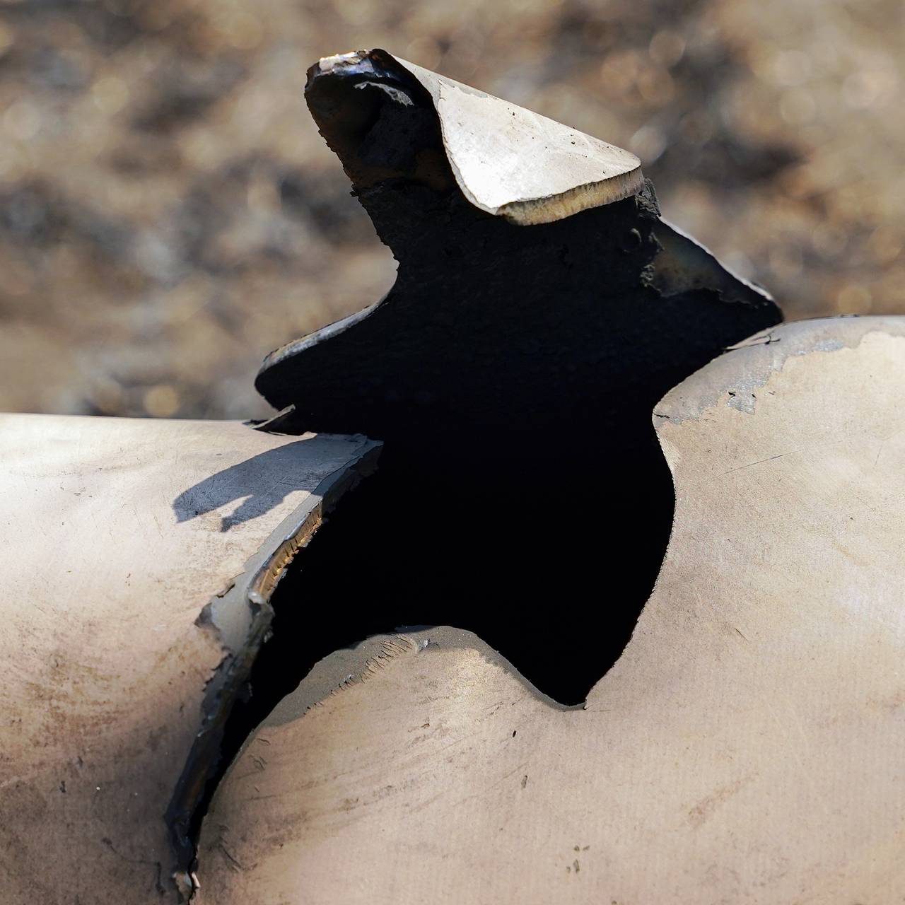 Фото: Максим Захаров / РИА Новости