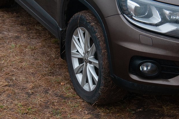 Вводная картинка