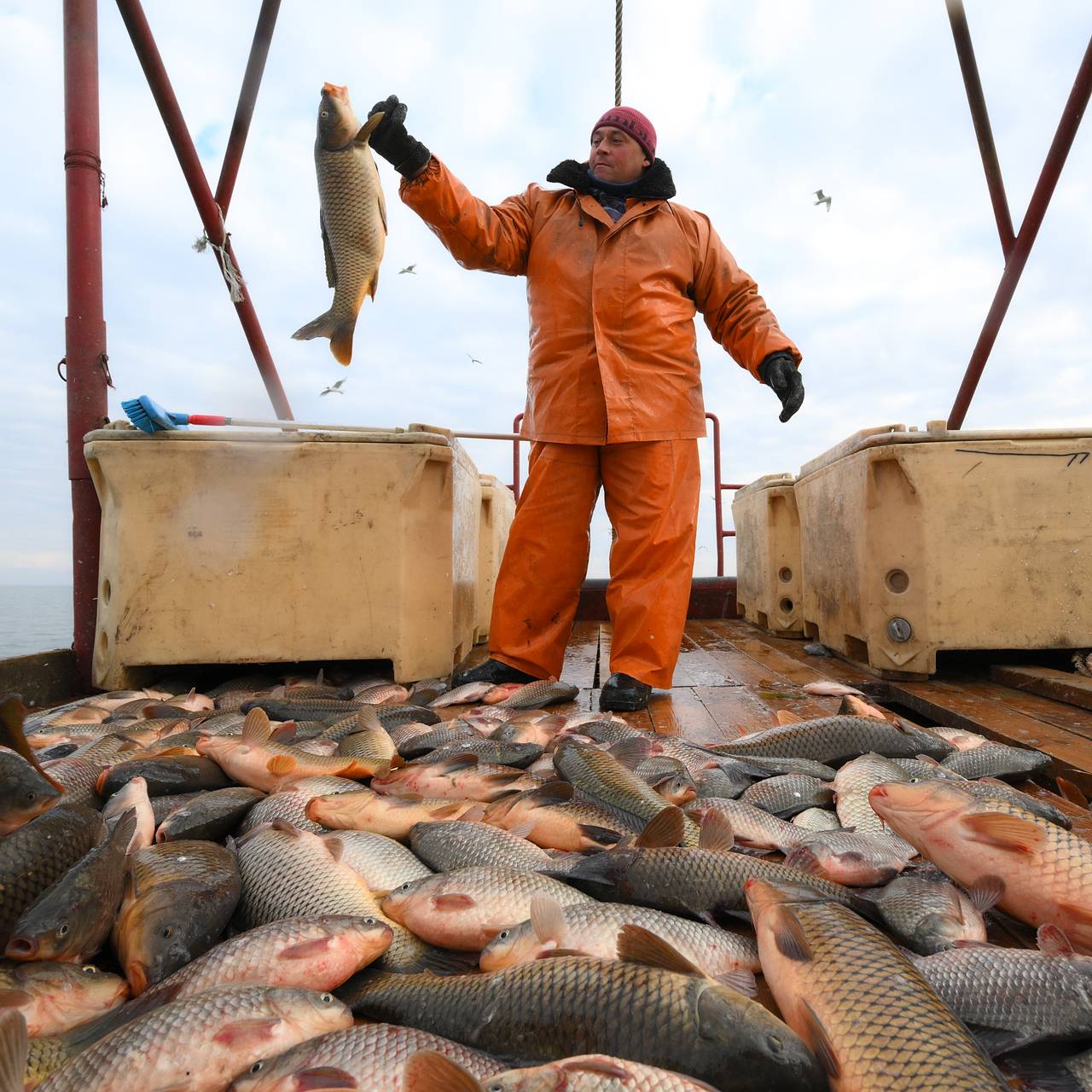 Российские компании попросили помочь с поставками рыбы за границу