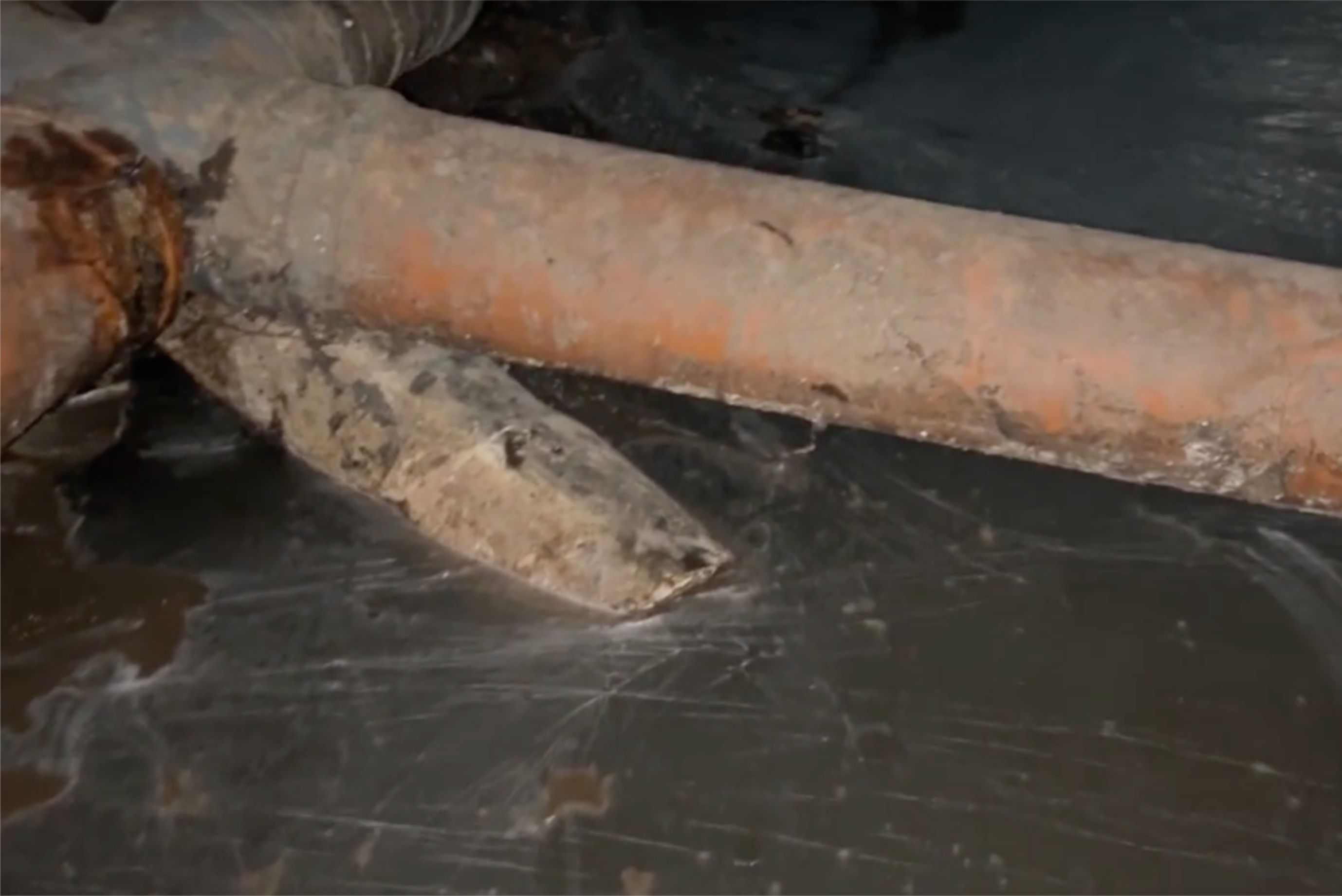 �����������&nbsp; � ���������� ������ ������� � ��������