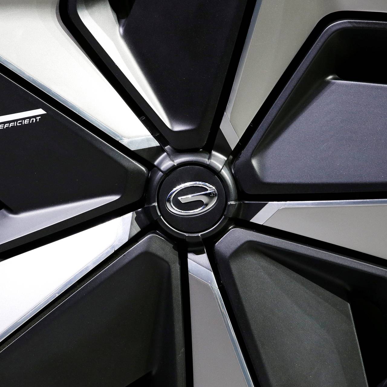 Российский дилер GAC решил подзаработать на ковриках за сотни тысяч