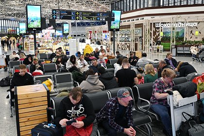 Россиян предупредили о многочасовых задержках в аэропорту Сочи