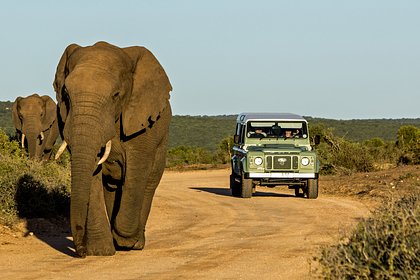 Девушка проигнорировала известный эффект кофе и стала посмешищем в глазах друзей
