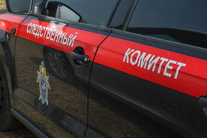 Появились подробности о новом деле против самого юного в России террориста из Minecraft