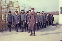 Вора в законе Васю Бриллианта называли легендой преступного мира. Как он стал главной проблемой для надзирателей советских тюрем? 