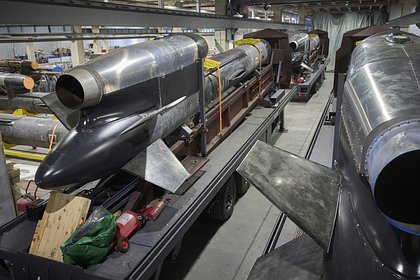 Стало известно о выгоде Зеленского от уничтожения производства ракет &laquo;Фламинго&raquo;