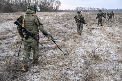 В пяти российских регионах создадут отряды саперов