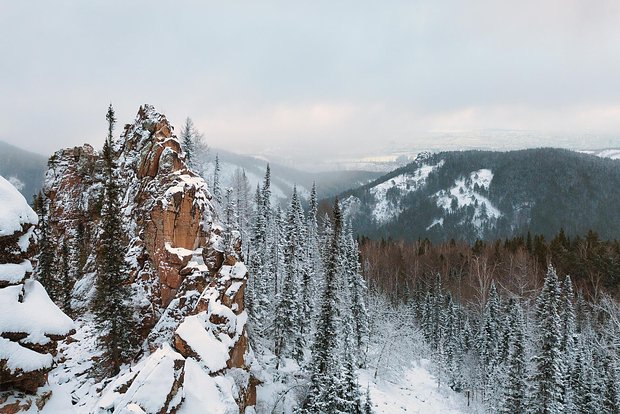 Вводная картинка