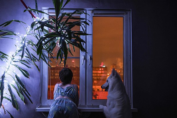 Вводная картинка