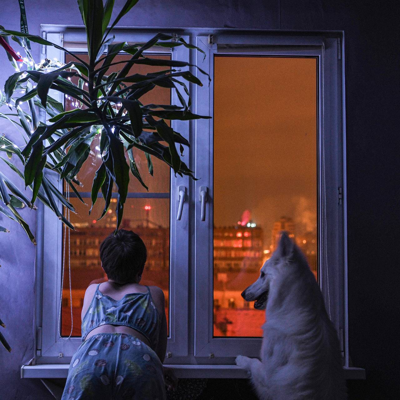 Россиян научили проветривать квартиру зимой