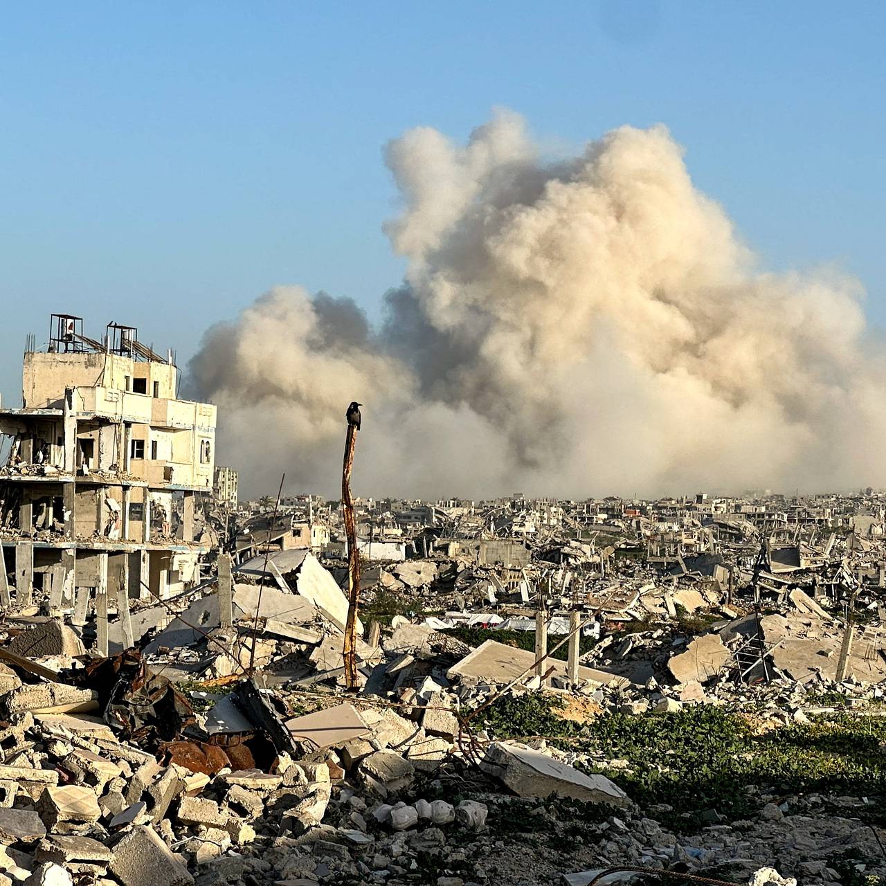 Одна постсоветская страна согласилась отправить в Газу свои войска