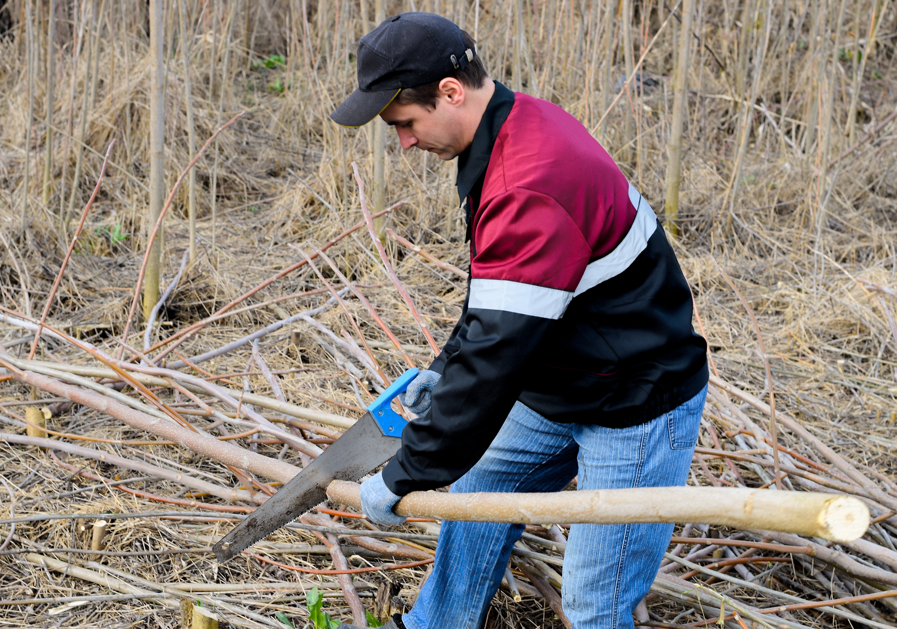 �&nbsp; �������� ������ �������� ������� �� ������������� �������. �� ����� �������� ����� ����������, ����� �� ��������� �� �����?