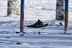 Обломки БПЛА ВСУ