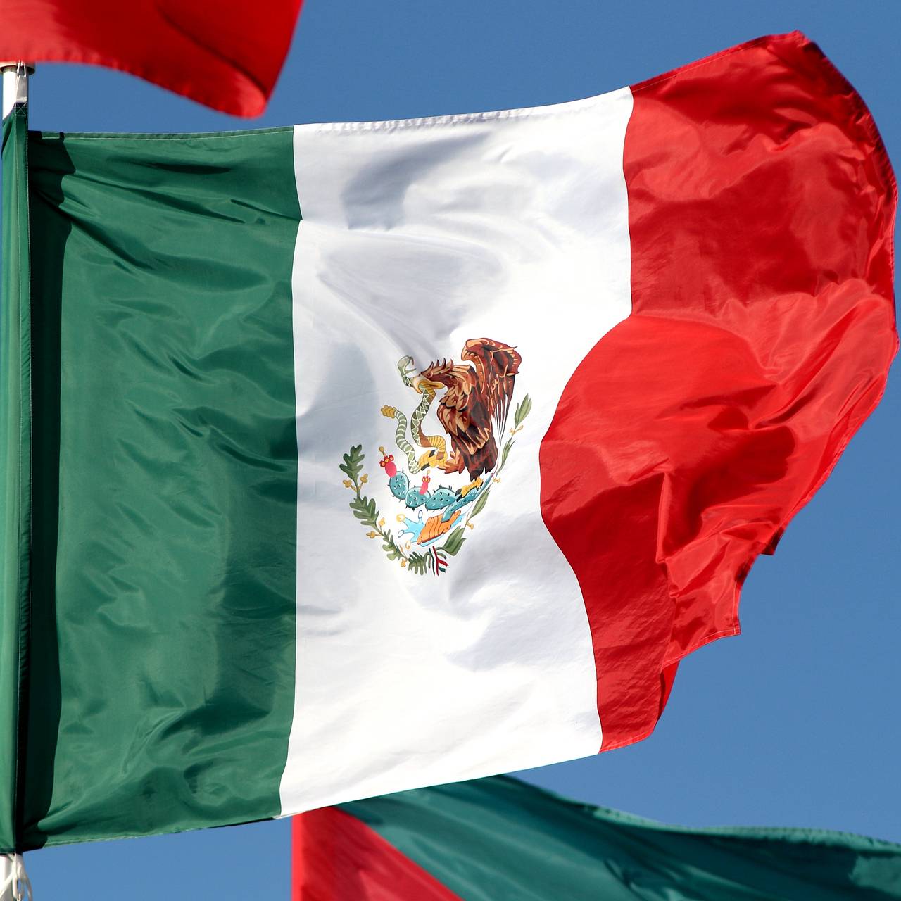 В Мексике ликвидировали главаря наркокартеля