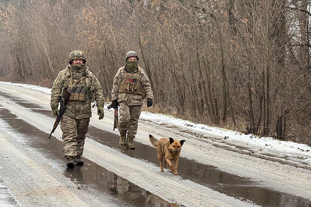 Вводная картинка