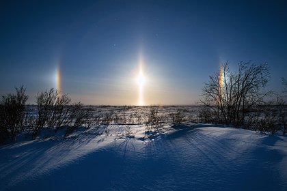 Российская семья застряла в тундре в 40-градусный мороз и выжила