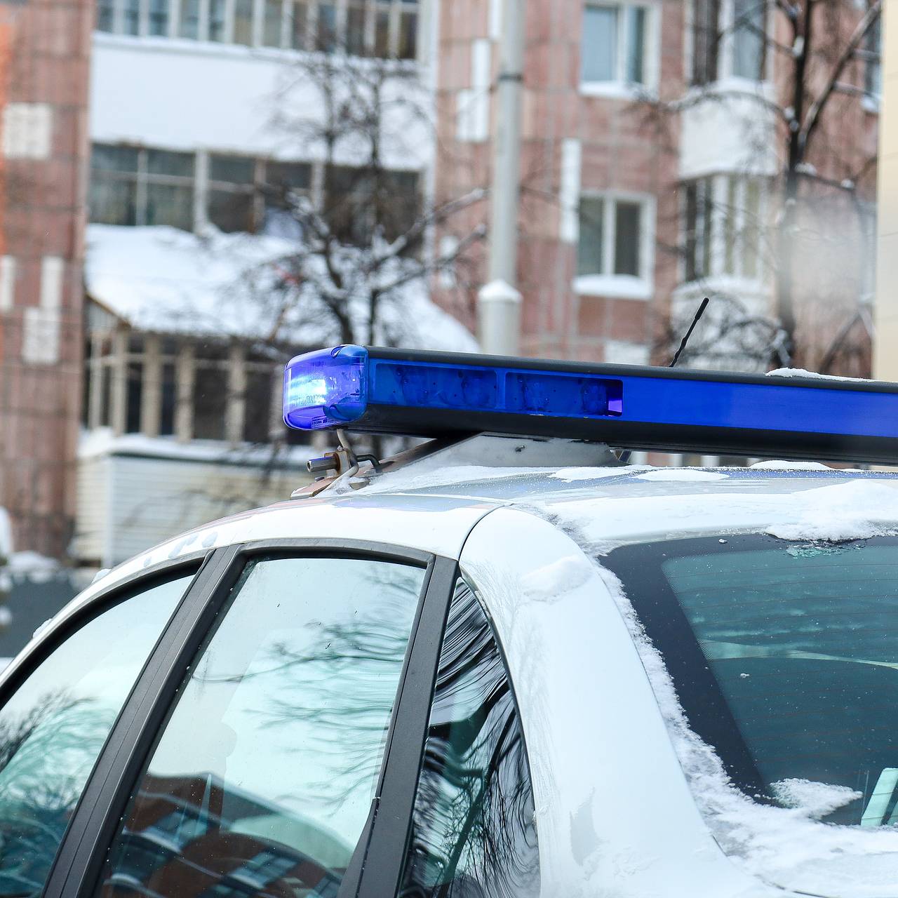 Запертых в клетке создателей кино облили фекалиями