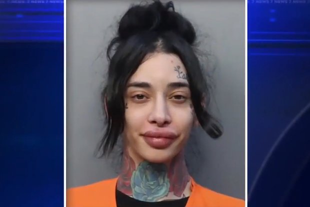 Вводная картинка