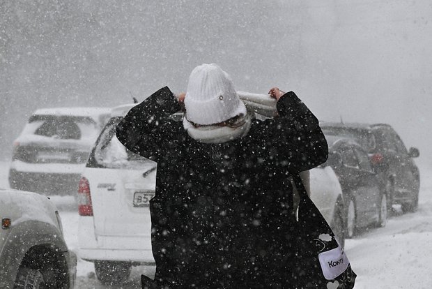 Вводная картинка