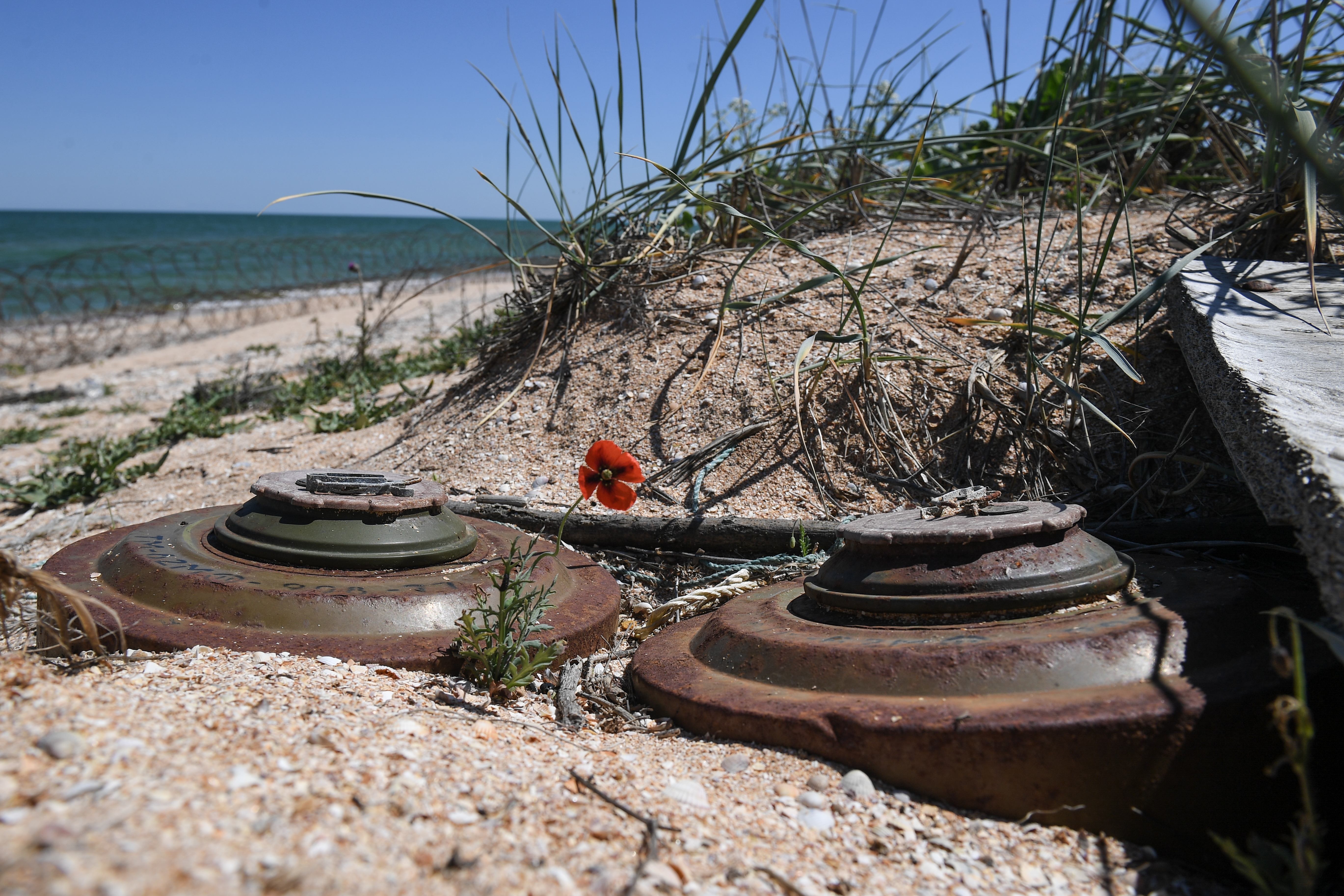 ���&nbsp; ������ ��������� ���� � �������� �������