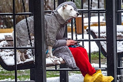 Россиянам пообещали потепление