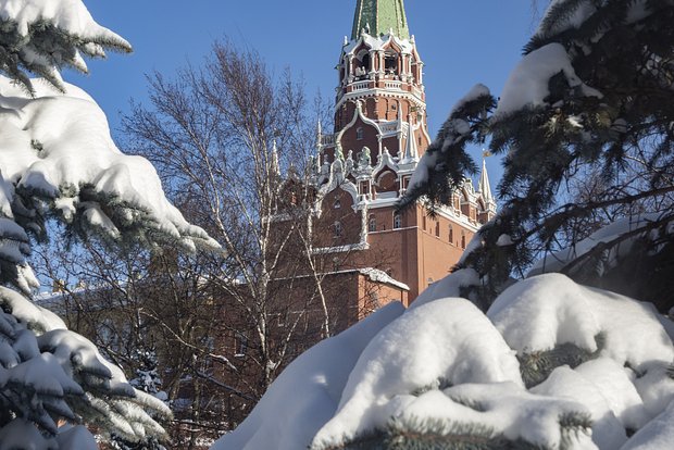 Вводная картинка