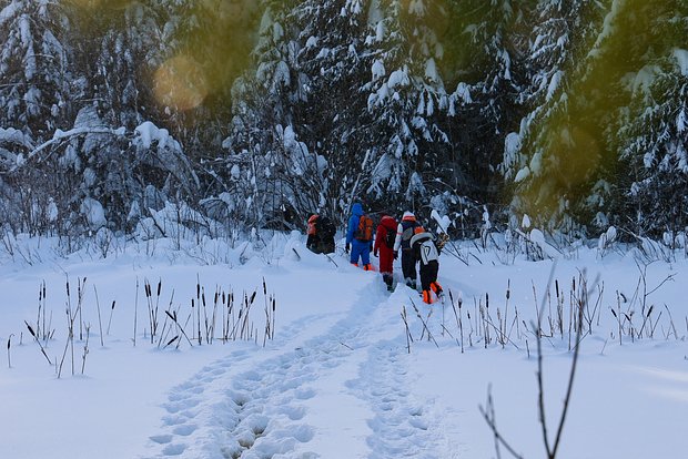 Вводная картинка