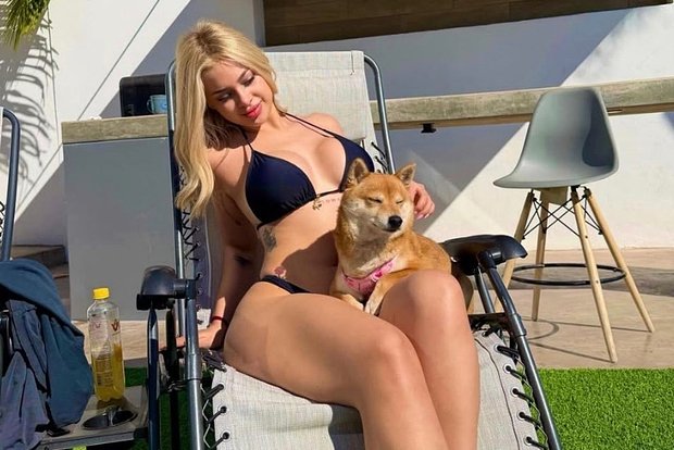 Вводная картинка