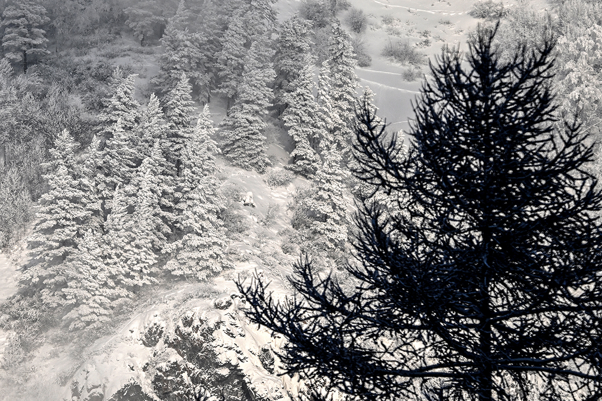 ����������&nbsp; ���������� ����� �������