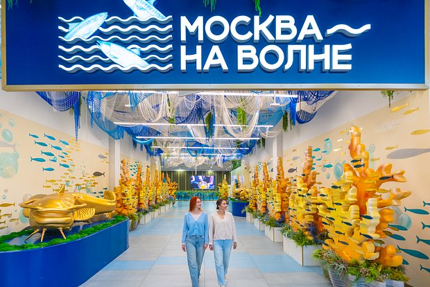 Вводная картинка