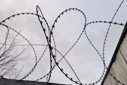 Раскрыто возможное наказание для похитителя школьницы в Смоленске