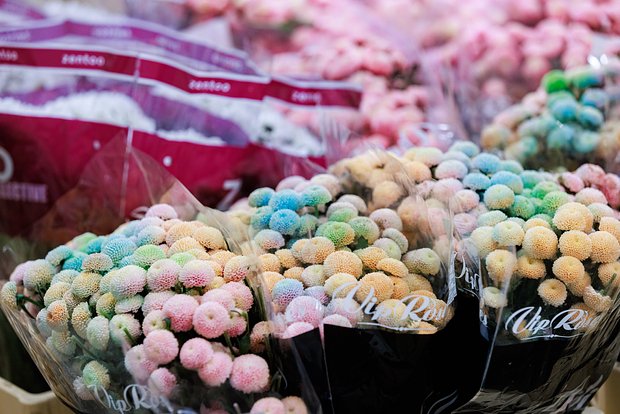 Самый дешёвый букет цветов в России подорожал до 449 рублей