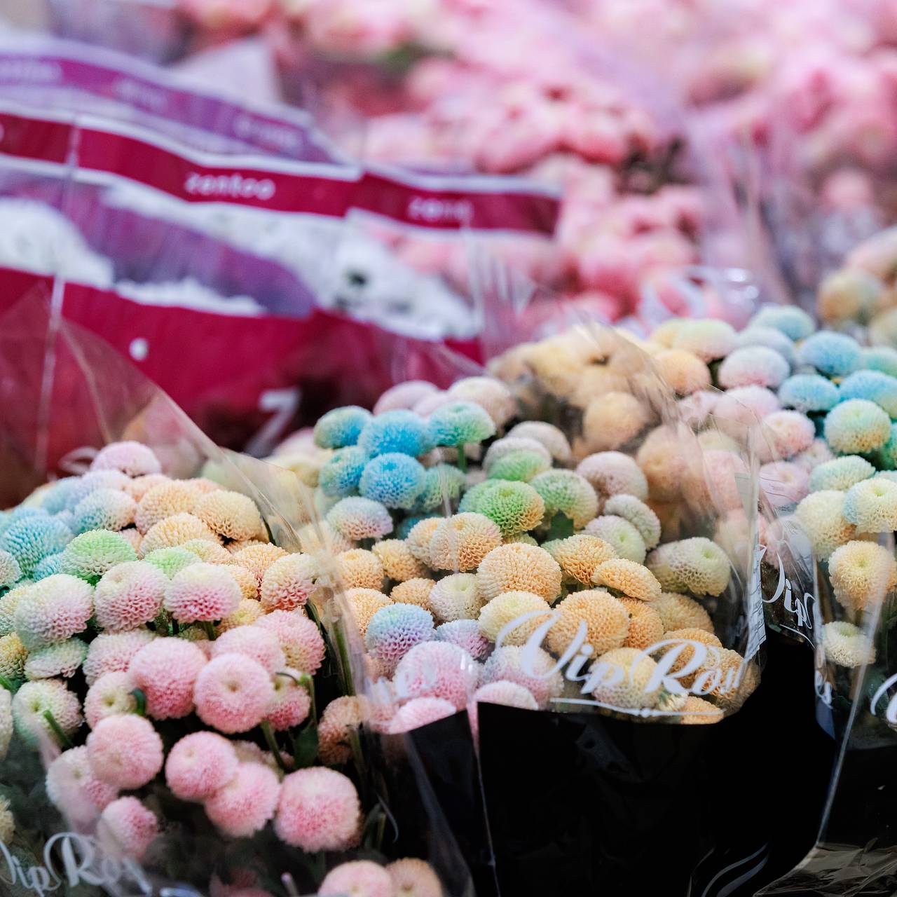 В России подорожали букеты цветов