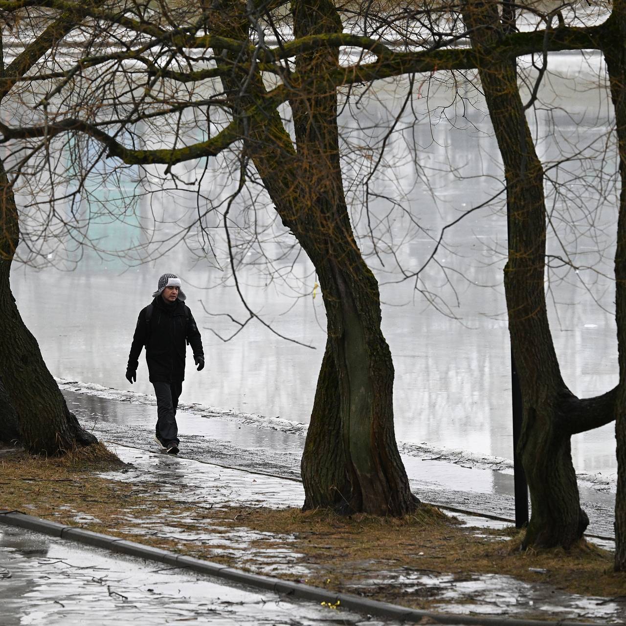 Москвичам рассказали о погоде в начале весны