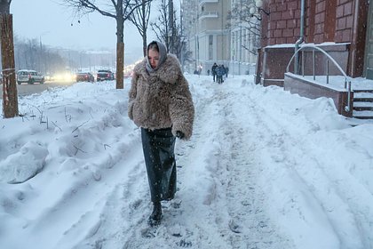 Вероятность снегопадов в Москве в мартовские праздники оценили